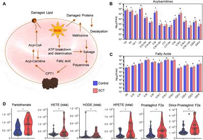 Plasma Levels of Acyl-Carnitines and Carboxylic Acids Correlate With Cardiovascular and Kidney Function in Subjects With Sickle Cell Trait